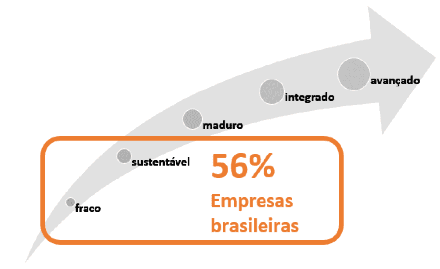 perfil das empresas brasileiras