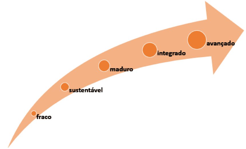 cinco níveis de maturidade na gestão de risco
