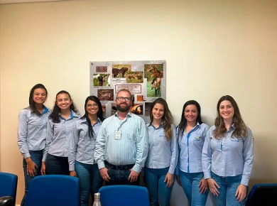 Vicenzi Santiago - Assessoria Empresarial